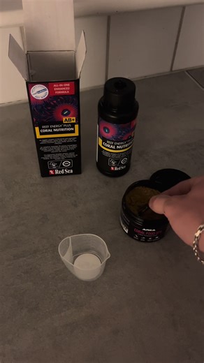 Late Night Snack Ideas for Corals in Reef Tanks