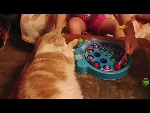 Let's Go Hunt (Let's Go Fishin') Baby Shark Edition - How to Play, Quick Rules, and Demo Play