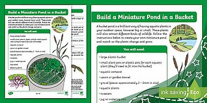 Make a Pond in a Bucket