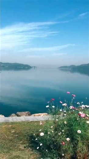 Good Morning Spring Nature Sky Flowers Lake