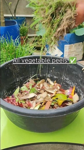Turn Kitchen Scraps Into FREE Compost in Minutes