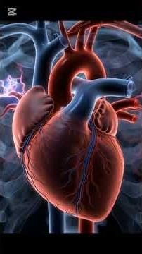 Do You know what Happened if You Eat watermelon 🍉 Find out!! #anatomy