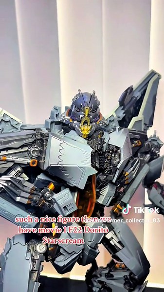 Transformer Collector on TikTok