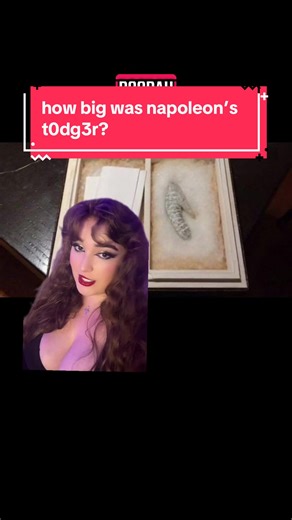 Exploring Napoleon's Life and Military History