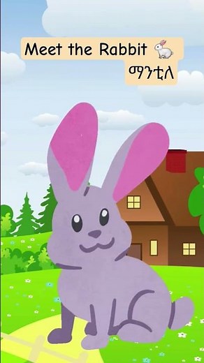 Tigrigna Counting for kids| Fun Kids Learning