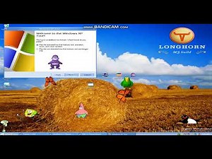 Destroying Windows Longhorn Build 3683 with Viruses