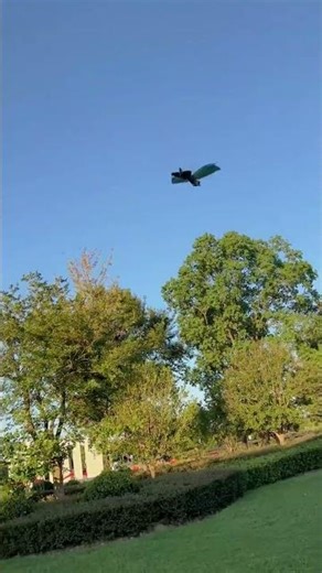 Bionic Phantom Bird Remote Control Toy Is So Cool!