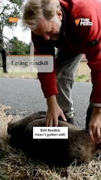 Would you eat roadkill?