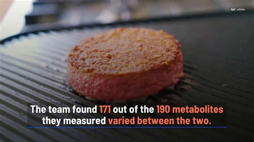 Plant-based meat isn't nutritionally equivalent to animal meat, study suggests