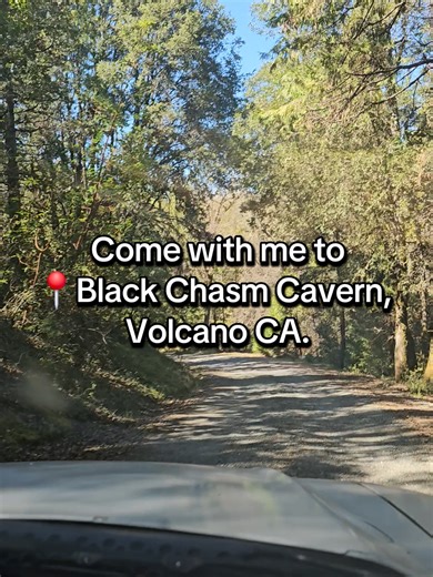 Deep under Volcano, CA sits a cavern the Gold Rush miners found in 1854… but they had no idea what they were standing on. This place is one of the ONLY caves in the U.S. with massive helictites — crystals that twist sideways like they’re breaking physics. 39‑foot walls, marble chambers, a hidden blue lake 160 feet down, and formations with names like cave bacon and angel wings. If you’ve never seen a cave that looks alive… welcome to Black Chasm. Be honest… would you walk in first or make ME go 