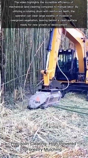 Precision Clearing: High-Powered Forestry Mulching