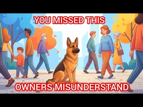 7 Dog Behaviors You're Misunderstanding (Your Dog Is Trying To Tell You This)