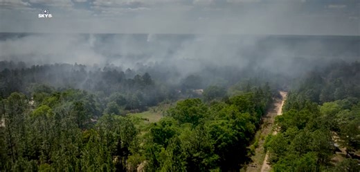 'Please don't burn': Citronelle fire burns hundreds of acres amid worsening drought conditions | WKRG.com