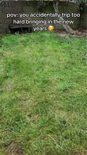 it’s 2026 y’all!! i hope everyone had a nice new years and did something fun or spent time around loved ones and stuff and yea i really like appreciate yall and i hope everyone continues to manifest and live out their best life ^_^ ase video credits: the_psychedelic_deity #psychonaut #thirdeyeopen #fyp #mushroomvibes #lsdvibes