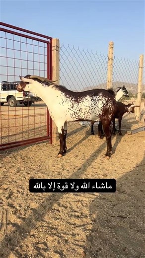 16 أبريل 2026