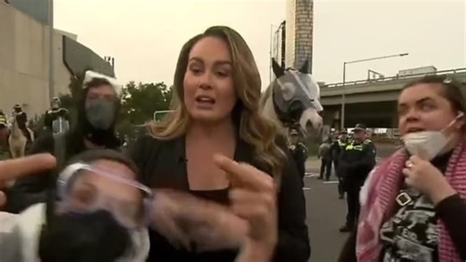 7NEWS Melbourne crime reporter heckled on air by protesters