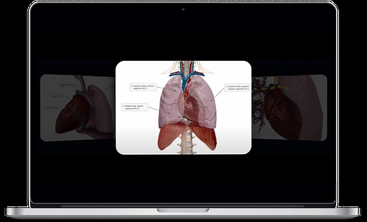 Visible Body - Faites votre choix parmi les applis concernant l’anatomie, la physiologie et la pathologie