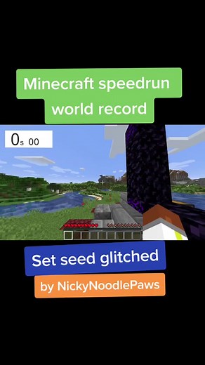 Minecraft Speedrun World Record by NickyNoodlePaws