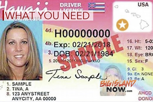 What You Need to Renew Your Driver License With Gold Star | Big Island Now