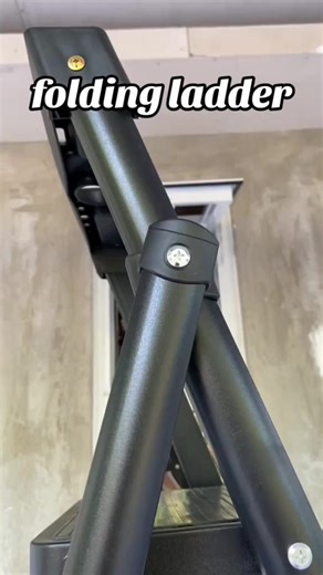 Ladder Foldable Carbon Steel Thicker Ladder 3-8 steps Household Multifunction Portable step ladder | Leo Astrero LM Backyard