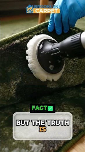 Is MOLD in Rug Padding Really UNTREATABLE?