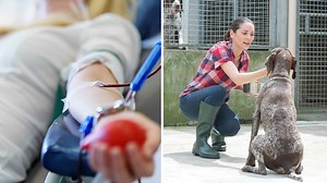 10 Kind Gestures to Show Appreciation to Someone You Love