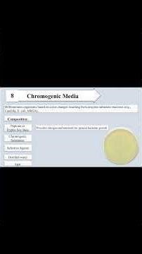 Chromogenic Media I Purpose and Composition I Differential Media I Bacterial Culture Media