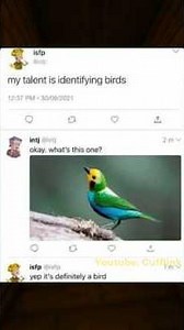 Random Screenshots Out of Context