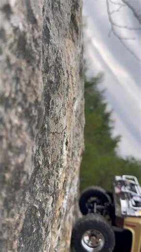 RC4WD scale dept. #rc4wd #crawlingri