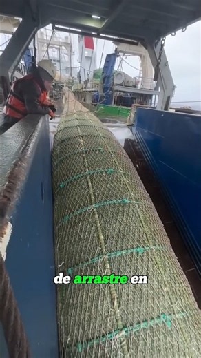 IS TRAWLING ACTUALLY BANNED? FIND OUT #VIRALSHORT #YOUTUBESHORTS #FISHERMEN