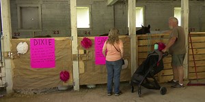 Iron County fair kicks off 130th year