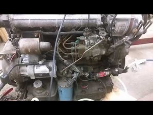 Thermo king Isuzu diesel engine first start.
