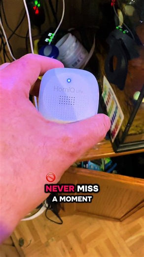 Creating the Perfect Betta Fish Tank