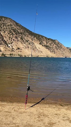 I Caught An Alien Brown Trout: It Is Out Of This World: Strange Fish At Georgetown Lake: #fishing