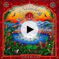 La Respuesta by Curawaka