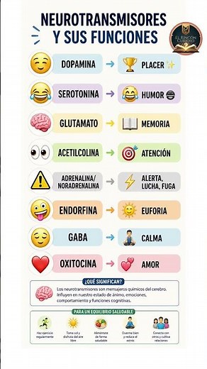 Las funciones de los neurotransmisores