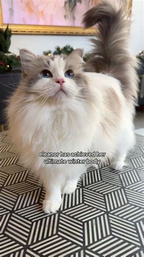 #ad @bissell Little Green Mini keeps carpets clean 🐾 Easy cleanup for pet messes! #LittleGreenMini