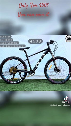 AVIA PRO MTB 11-SPEED HALF CARBON FIBER FRAME