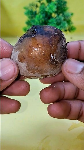 ❤️❤️What will happen if rotten potato, salt, sugar and lemon❌😯 meet BLDC motor?#experiment 💯