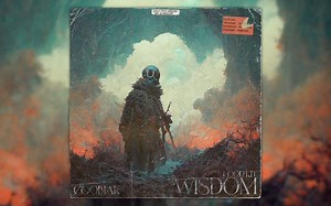 [FREE](10 ) LOOP KIT WISDOM (PYREX, SOUTHSIDE, CUBEATZ, EXPERIMENTAL)