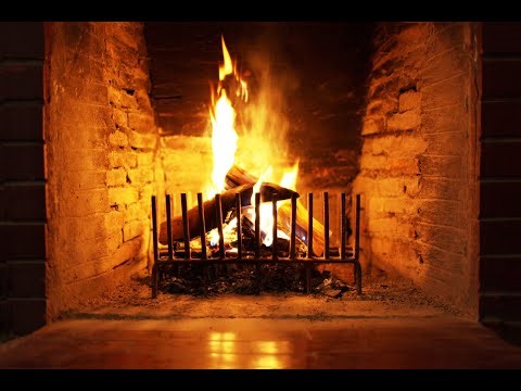 The Shadow Collector