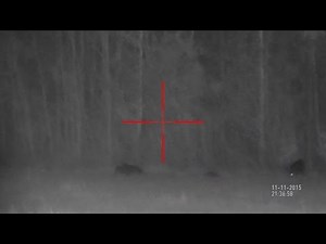 ATN X-SIGHT testing and sight in 300 BLK