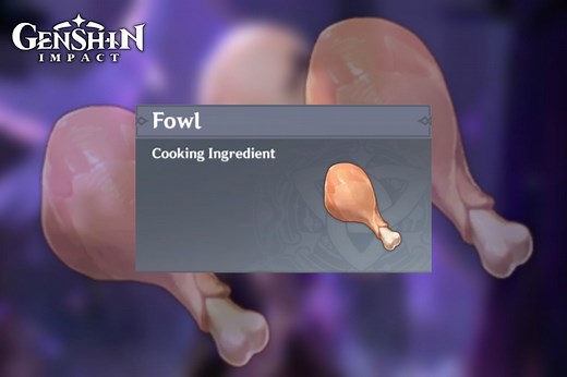 Fowl locations in Genshin Impact: How to buy, farm, and obtain easily