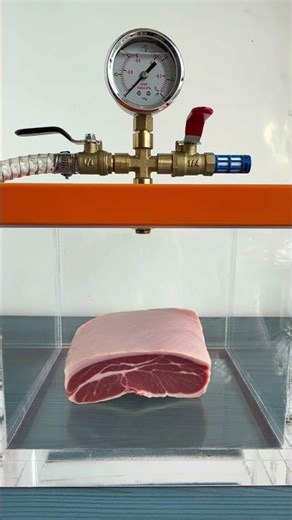 Episode 77 / Test - Vacuum vs Beef#experiment #vacuum #science #physics #research