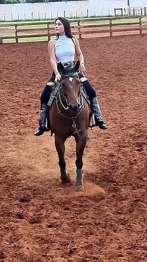 Horseback Riding Techniques in an Outdoor Arena