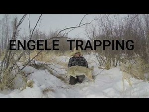 Shop Talk 4 way conibear triggers