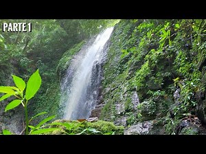 EXPLORANDO LA SELVA DE BONAO | PARTE 1/4 | Cascada La Gritona