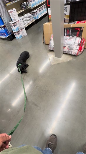 Kahner Rhind on Reels | Facebook