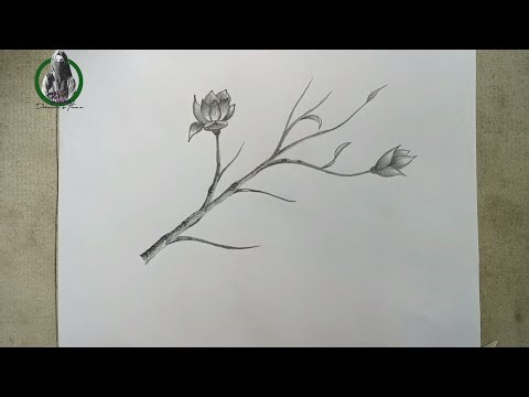 How to draw a realistic tree branch with flowers...Easy drawing..#drawing #treebranch #flowers