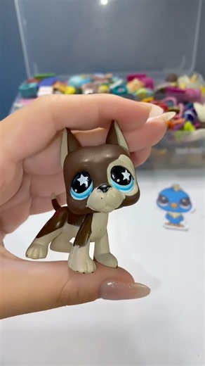 lps delirious #ytdayibenionecikarnolur #lps #kesfeteyyiz #littlestpetshop #lpscollector #delirious